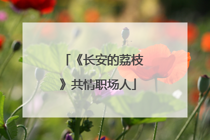 《长安的荔枝》共情职场人