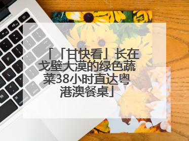 「甘快看」长在戈壁大漠的绿色蔬菜38小时直达粤港澳餐桌
