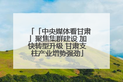 「中央媒体看甘肃」聚焦集群建设 加快转型升级 甘肃支柱产业增势强劲