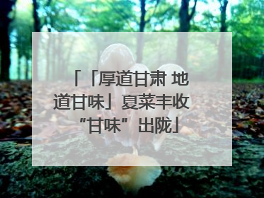 「厚道甘肃 地道甘味」夏菜丰收 “甘味”出陇