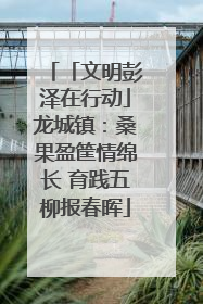 「文明彭泽在行动」龙城镇：桑果盈筐情绵长 育践五柳报春晖