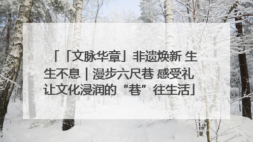 「文脉华章」非遗焕新 生生不息｜漫步六尺巷 感受礼让文化浸润的“巷”往生活