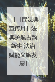 「民法典宣传月」法典护航古韵新生 法治赋能文旅发展