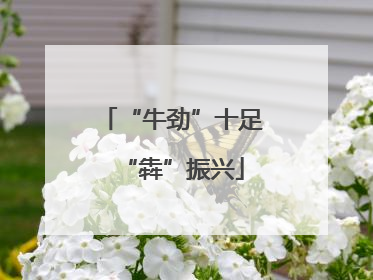 “牛劲”十足“犇”振兴
