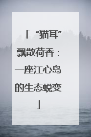 “猫耳”飘散荷香：一座江心岛的生态蜕变