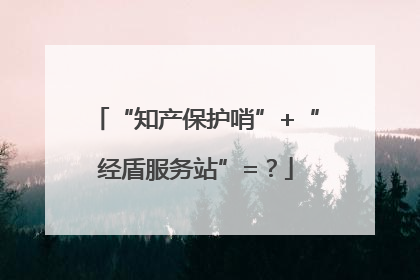“知产保护哨”+“经盾服务站”=？