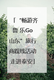 “畅游齐鲁 乐Go山东”旅行商踩线活动走进泰安
