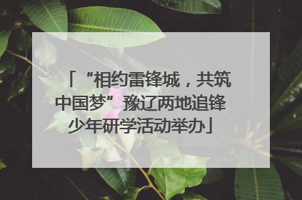 “相约雷锋城，共筑中国梦”豫辽两地追锋少年研学活动举办
