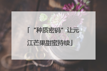“种质密码”让元江芒果甜蜜持续