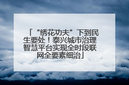 “绣花功夫”下到民生要处！泰兴城市治理智慧平台实现全时段联网全要素细治