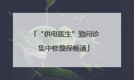 “供电医生”勤问诊 集中修整保畅通