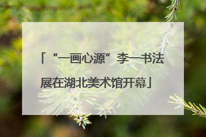 “一画心源”李一书法展在湖北美术馆开幕