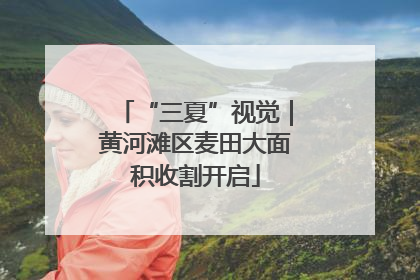 “三夏”视觉｜黄河滩区麦田大面积收割开启