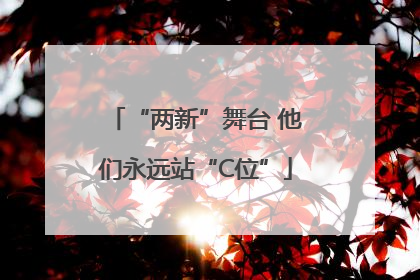 “两新”舞台 他们永远站“C位”
