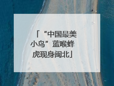 “中国最美小鸟”蓝喉蜂虎现身闽北