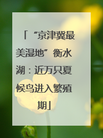 “京津冀最美湿地”衡水湖：近万只夏候鸟进入繁殖期