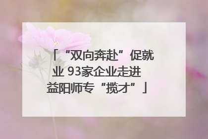 “双向奔赴”促就业 93家企业走进益阳师专“揽才”