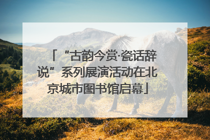 “古韵今赏·瓷话辞说”系列展演活动在北京城市图书馆启幕