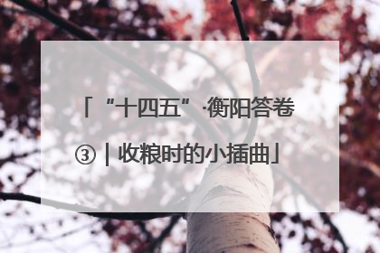 “十四五”·衡阳答卷③｜收粮时的小插曲