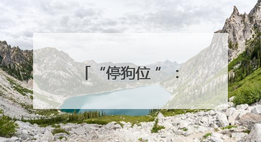 “停狗位 ”：让温情藏在 “方寸之间 ”