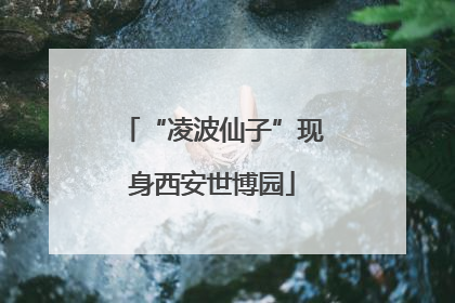 “凌波仙子”现身西安世博园
