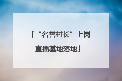 “名誉村长”上岗 直播基地落地