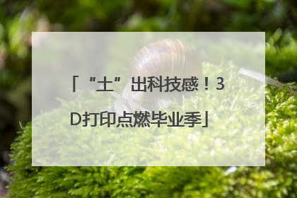 “土”出科技感！3D打印点燃毕业季