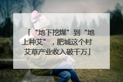 “地下挖煤”到“地上种艾”，肥城这个村艾草产业收入破千万