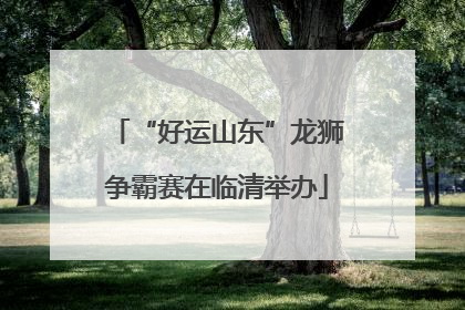 “好运山东”龙狮争霸赛在临清举办