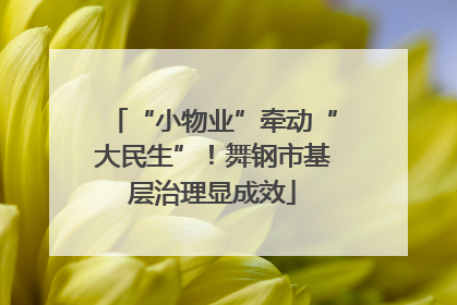 “小物业”牵动“大民生”！舞钢市基层治理显成效