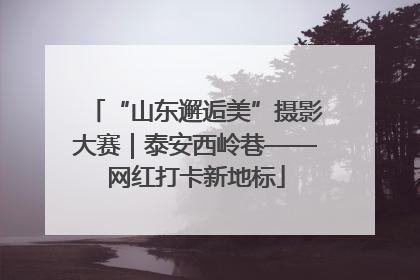 “山东邂逅美”摄影大赛｜泰安西岭巷——网红打卡新地标