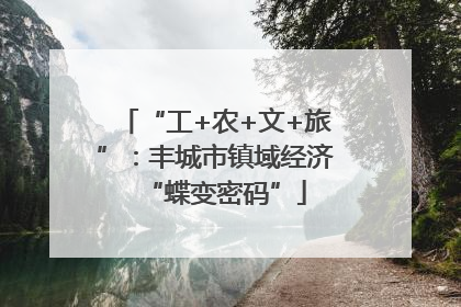“工+农+文+旅”：丰城市镇域经济“蝶变密码”