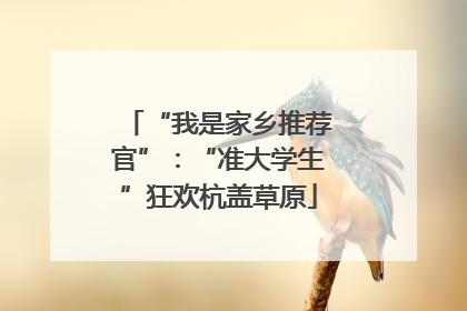 “我是家乡推荐官”：“准大学生”狂欢杭盖草原