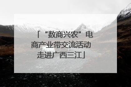 “数商兴农”电商产业带交流活动走进广西三江