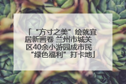 “方寸之美”绘就宜居新画卷 兰州市城关区40余小游园成市民“绿色福利”打卡地
