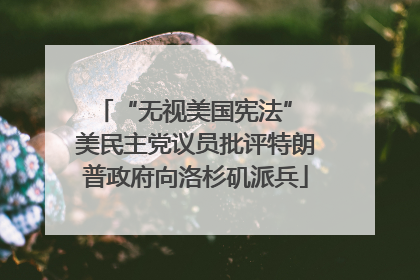 “无视美国宪法” 美民主党议员批评特朗普政府向洛杉矶派兵