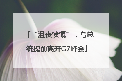 “沮丧愤慨”，乌总统提前离开G7峰会