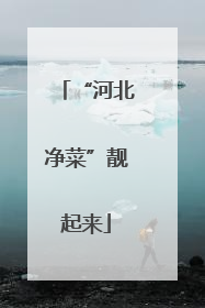 “河北净菜”靓起来