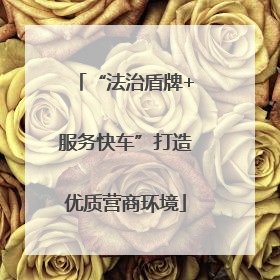 “法治盾牌+服务快车”打造优质营商环境