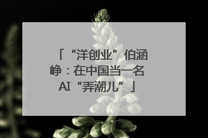“洋创业”伯涵峥：在中国当一名AI“弄潮儿”