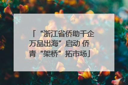 “浙江省侨助千企万品出海”启动 侨青“架桥”拓市场