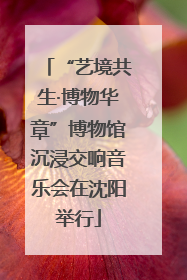 “艺境共生·博物华章”博物馆沉浸交响音乐会在沈阳举行