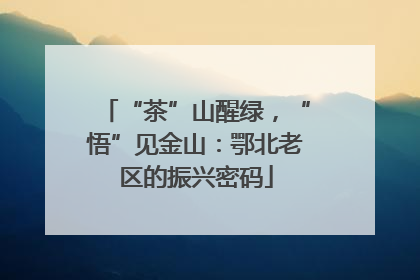 “茶”山醒绿，“悟”见金山：鄂北老区的振兴密码