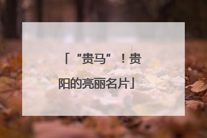 “贵马”！贵阳的亮丽名片