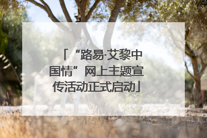 “路易·艾黎中国情”网上主题宣传活动正式启动
