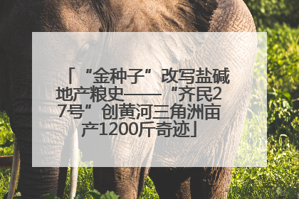 “金种子”改写盐碱地产粮史——“齐民27号”创黄河三角洲亩产1200斤奇迹