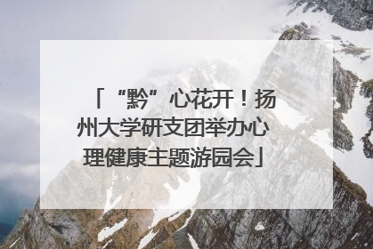 “黔”心花开！扬州大学研支团举办心理健康主题游园会