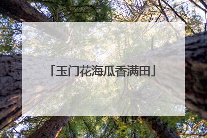玉门花海瓜香满田