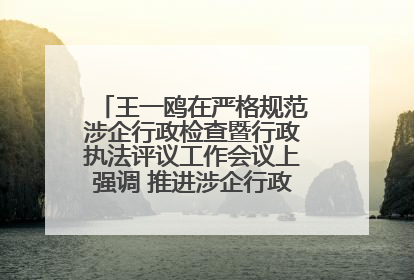 王一鸥在严格规范涉企行政检查暨行政执法评议工作会议上强调 推进涉企行政检查质效大幅提升