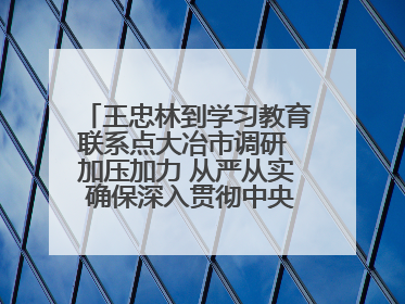 王忠林到学习教育联系点大冶市调研 加压加力 从严从实 确保深入贯彻中央八项规定精神学习教育取得实效